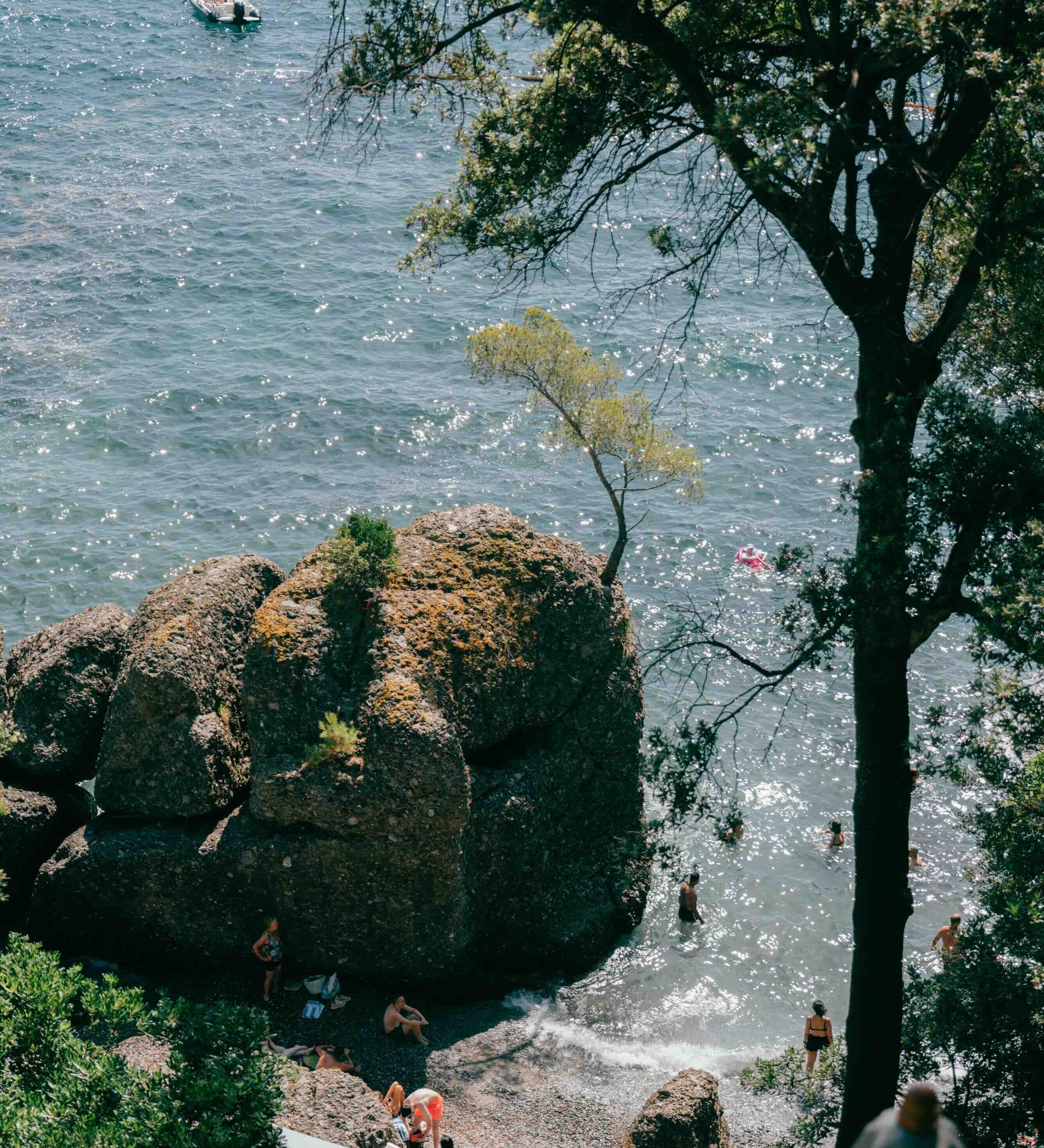 Can You Drink Decaf All Day?